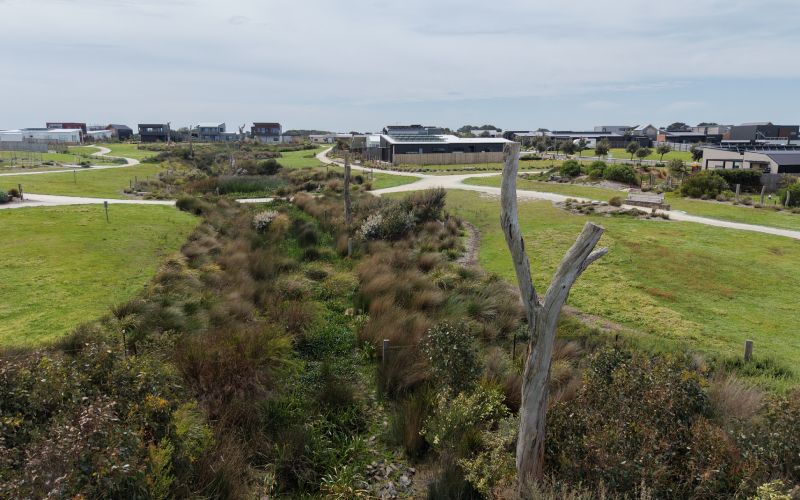 Wetland habitat designed for biodiversity.