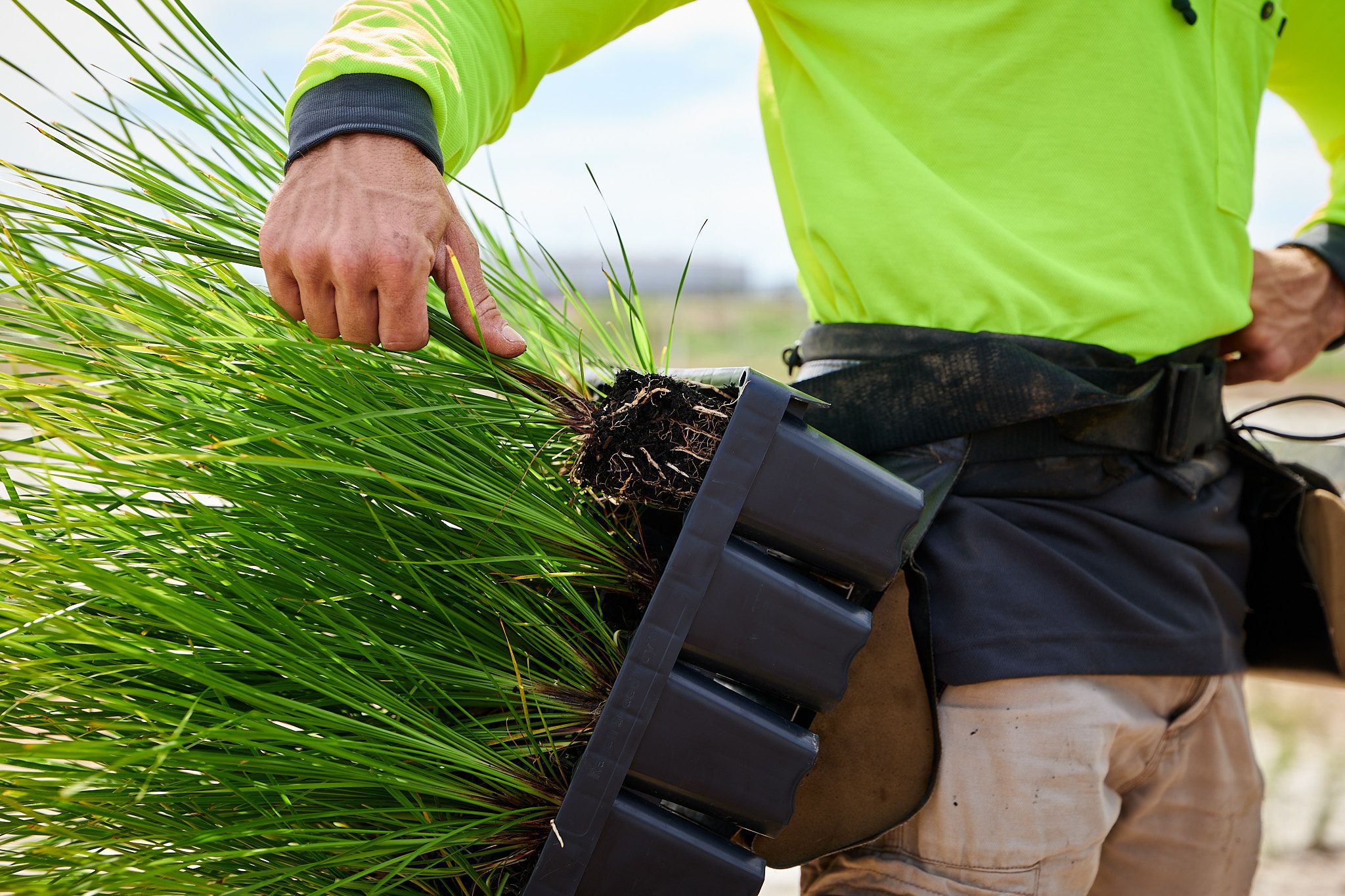Designed for fast, clean planting with Regen speed tray. Photo credit: Ben Mulligan