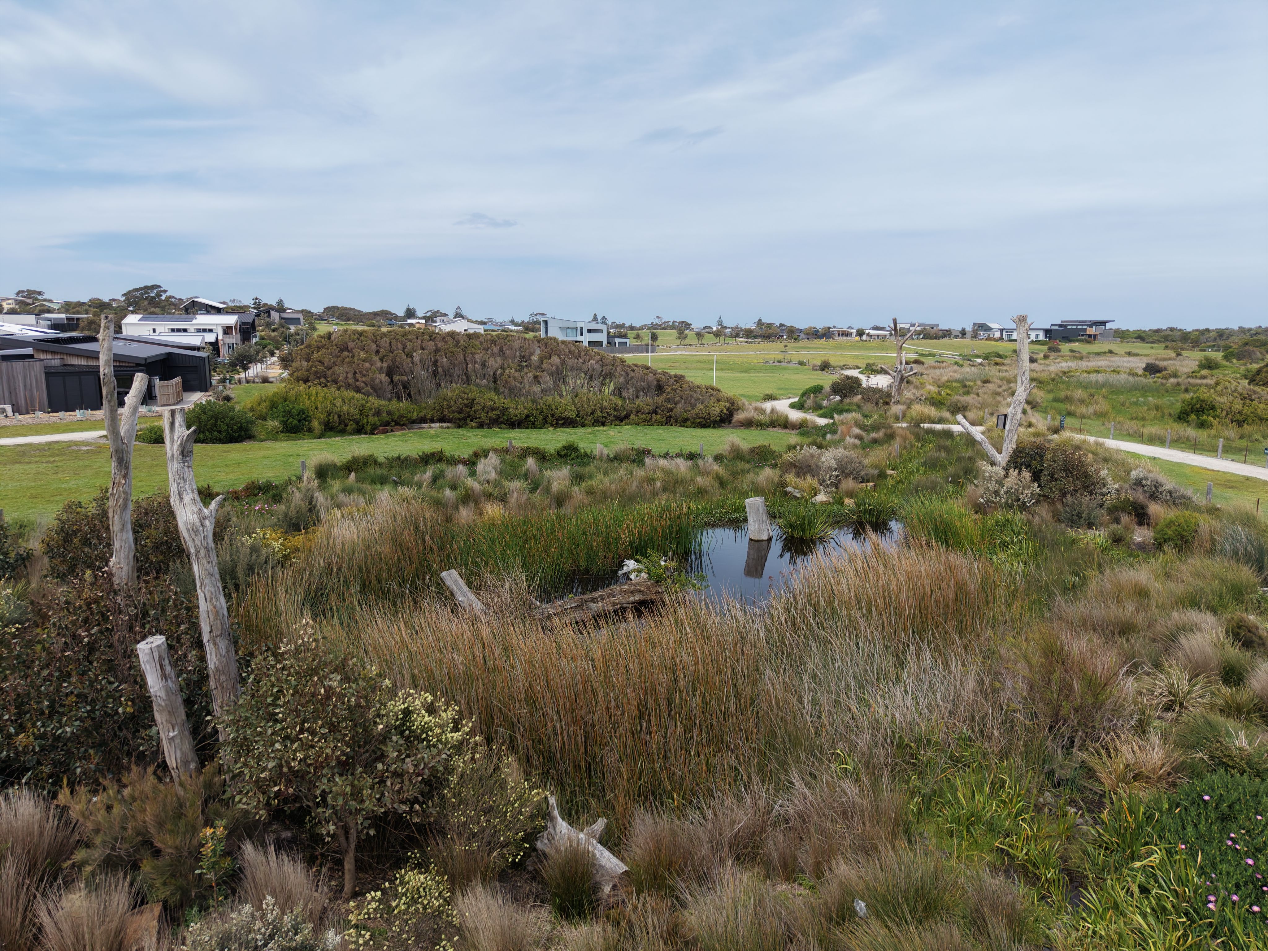 A thriving wetland landscape at The Cape.
